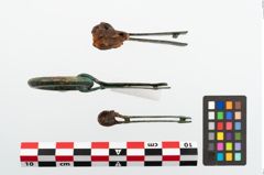 Foto von Bronzegürtelzwingen (NHMW-PRAE-023650)